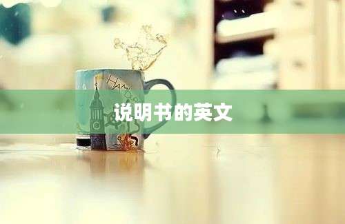 说明书的英文