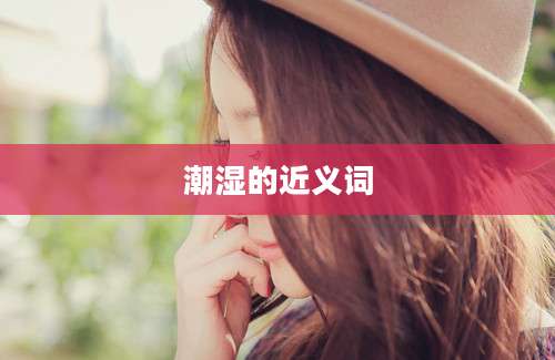 潮湿的近义词