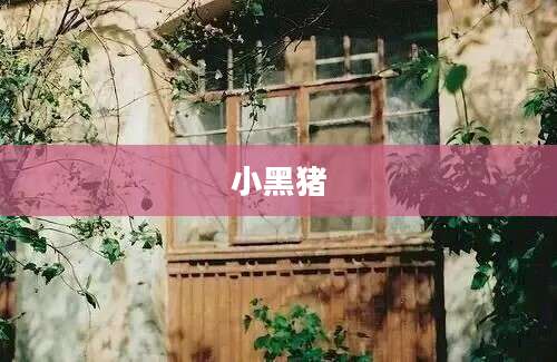 小黑猪