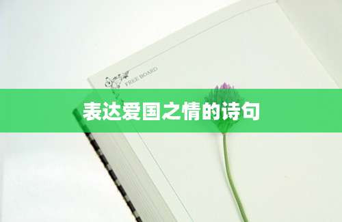 表达爱国之情的诗句
