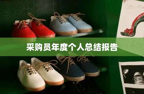 采购员年度个人总结报告