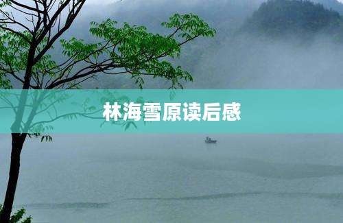 林海雪原读后感