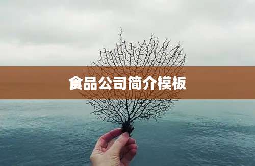 食品公司简介模板
