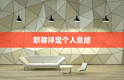 职称评定个人总结