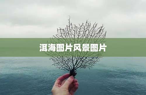 洱海图片风景图片