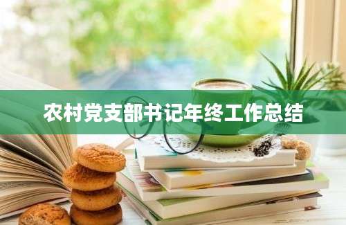 农村党支部书记年终工作总结
