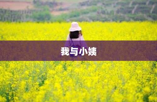 我与小姨