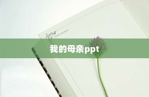 我的母亲ppt