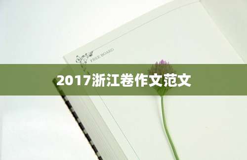 2017浙江卷作文范文
