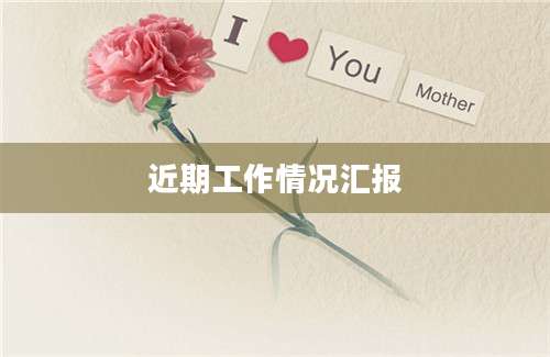 近期工作情况汇报