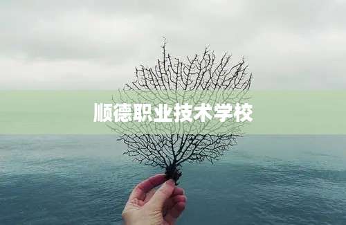 顺德职业技术学校