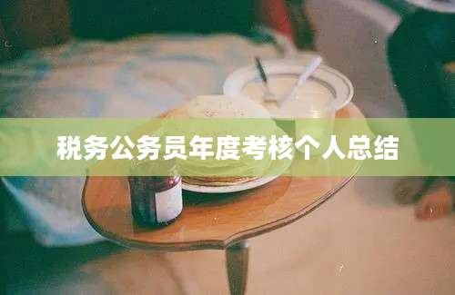 税务公务员年度考核个人总结