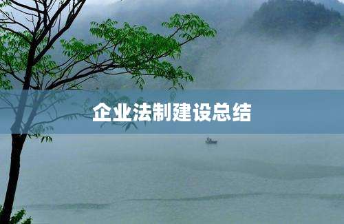 企业法制建设总结