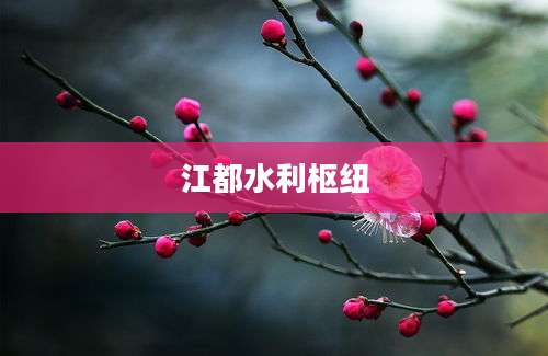 江都水利枢纽