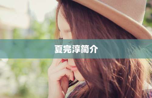 夏完淳简介