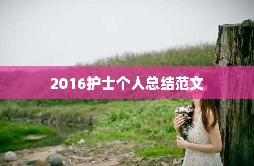 2016护士个人总结范文