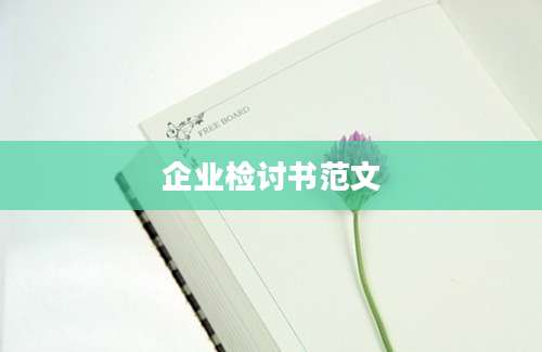 企业检讨书范文