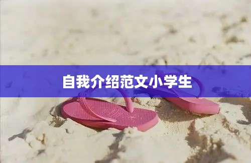 自我介绍范文小学生