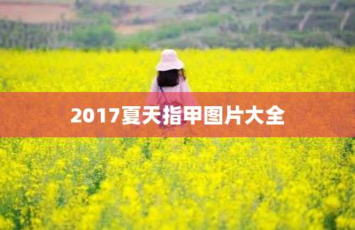 2017夏天指甲图片大全