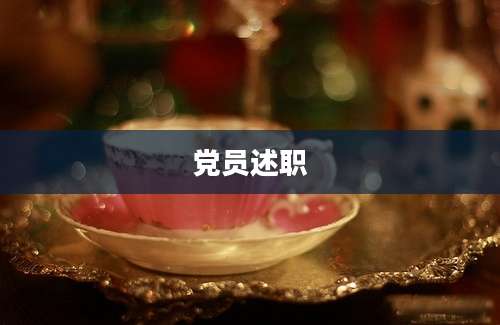 党员述职