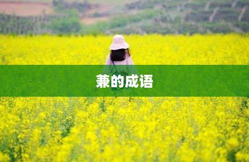 兼的成语