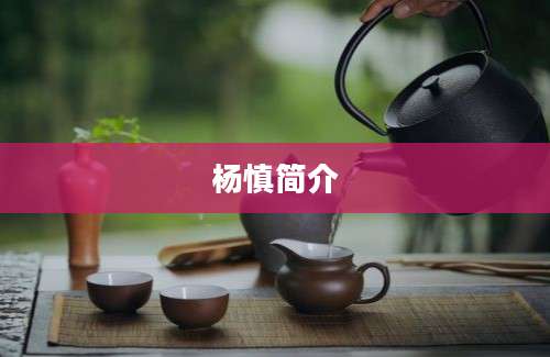 杨慎简介