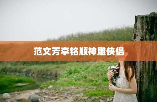 范文芳李铭顺神雕侠侣