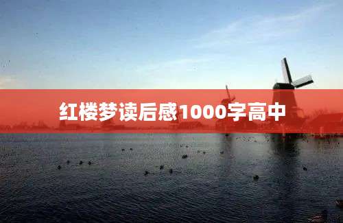 红楼梦读后感1000字高中