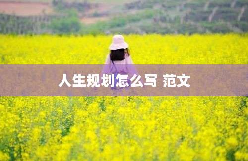 人生规划怎么写 范文