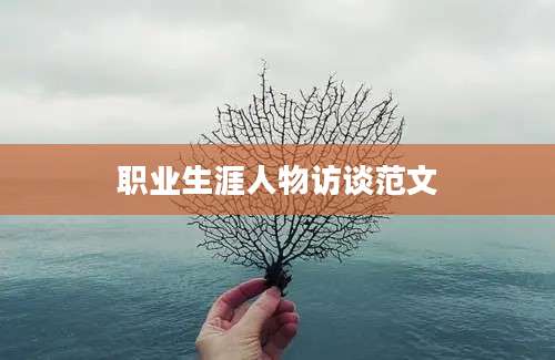 职业生涯人物访谈范文