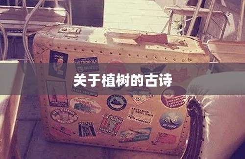 关于植树的古诗
