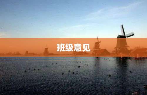 班级意见