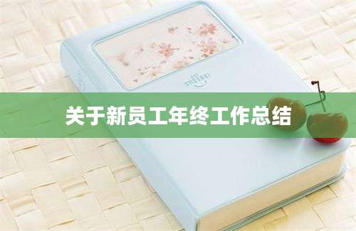 关于新员工年终工作总结