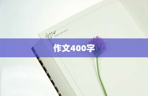作文400字