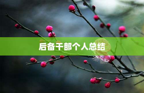 后备干部个人总结