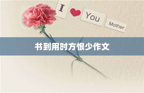 书到用时方恨少作文