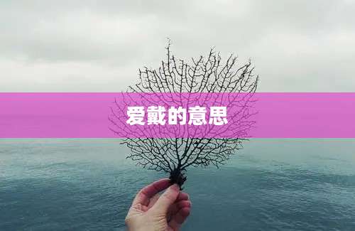 爱戴的意思