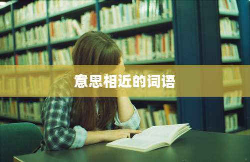 意思相近的词语