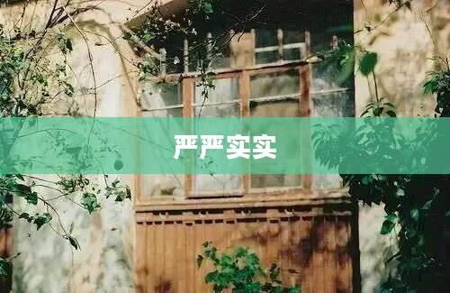 严严实实