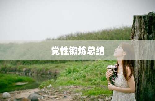 党性锻炼总结