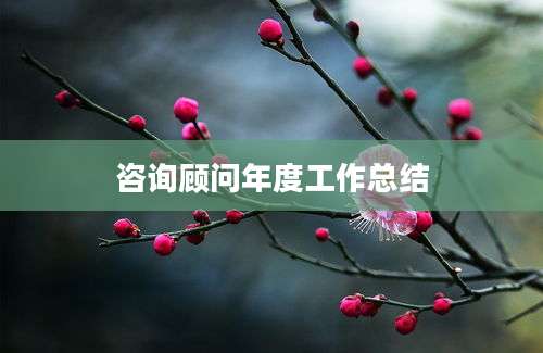 咨询顾问年度工作总结