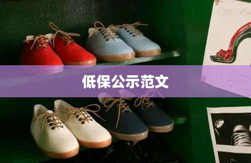 低保公示范文