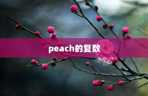 peach的复数