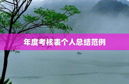 年度考核表个人总结范例