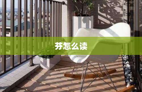 芬怎么读