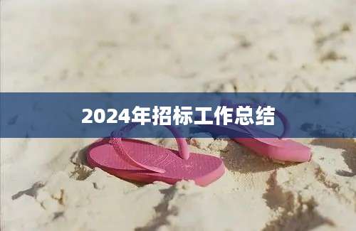 2024年招标工作总结