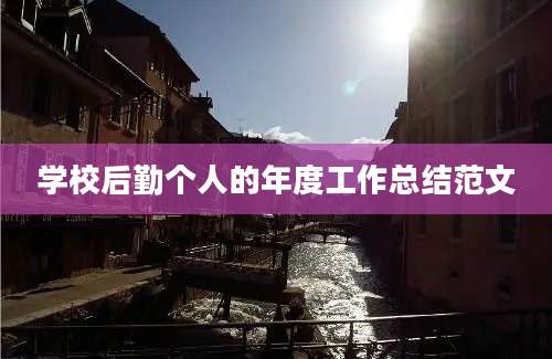 学校后勤个人的年度工作总结范文