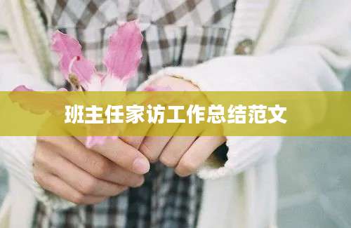 班主任家访工作总结范文