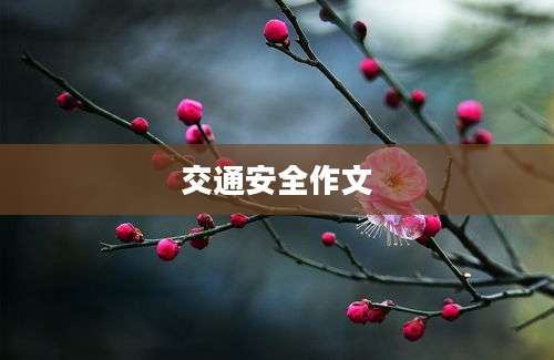 交通安全作文