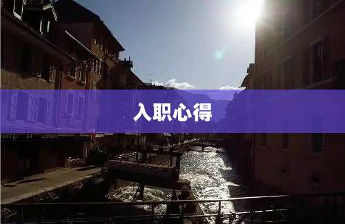 入职心得